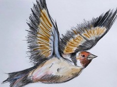 Original Watercolor Goldfinch Painting: Whimsical Bird Nature Art, 8×8 inches
