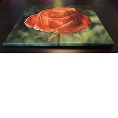 Rose Original Oil Painting, orange, realistic flower, classic, beautiful, love