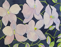 PAINTING WATERCOLOR 11X14 AND DOUBLE MAT 16X20 FLOWERS ORCHID LAVENDER BLUE PINK