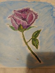 Original painting on canvas board…“Purple Rose“