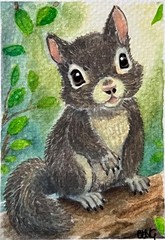 ACEO Original Art, Tiny Art, ATC – Watercolor – Squirrel – Poppykins Squirrel