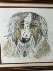 VTG Collie Dog Portrait Painting Signed And Dated 1986 Watercolor V5565
