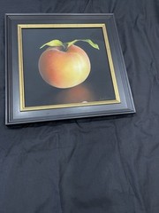 SANGITA PHADKE ORIGINAL PAINTING THE GLOWING PEACH framed pastel collection art