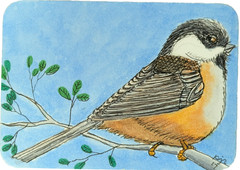 Original ACEO „Sweet Lil‘ Chickadee“