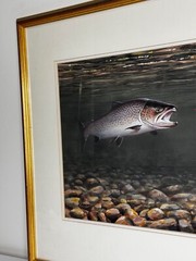 Sporting Painting Sea Trout Nearly Hooked The Silver Zulu Fly By Roger McPhail