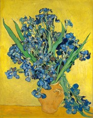 Irises by Vincent van Gogh Oil painting art Giclee printed on canvas L2401