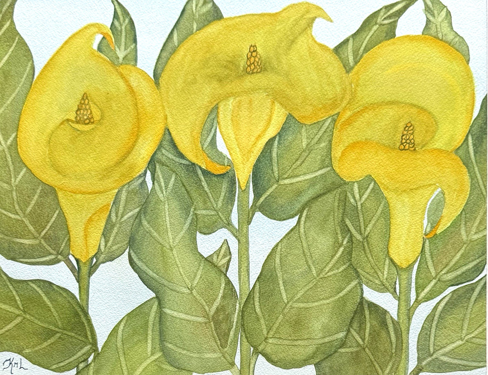 PAINTING WATERCOLOR ART CALLA LILY FLOWER YELLOW GREEN 11×14 & DOUBLE MAT 16X20