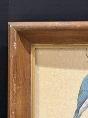Vintage Art LaMay Bird Prints – Set of 2 Framed Wall Art (Bluebird & Goldfinch)
