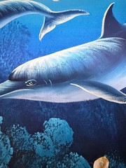 Large 29 X 41 Framed Signed Marine Dolphins Fish 90s Y2K Oil Painting On Canvas