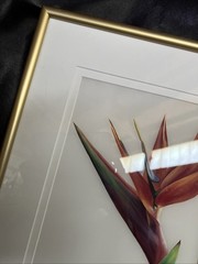 Vintage Chinese Brush Painting By Kuei Dorman