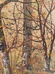 Raphael Senseman Watercolor of Trees by River Framed
