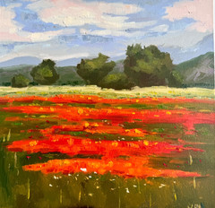 Impressionist Poppy Landscape Oil Canvas Painting 15×15 inch Modern Impasto Art