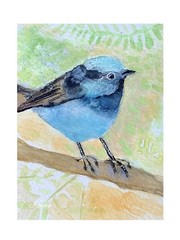 ACEO By Kenna Blue Fairy Wren Bird Painting 2.5” X 3.5” Signed Original ATC