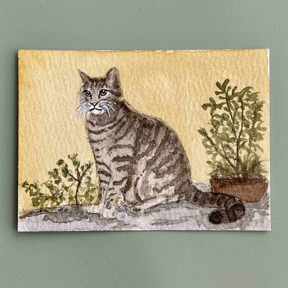 Original ACEO – Domestic Cat – Mini Art Watercolor Painting (Felidae Series)