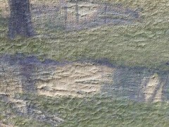 Peter Lanz Hohnstedt Original Oil Painting Airy Texas Landscape 28″ x 22″