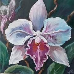 Flower Original Oil Painting Orchid on Canvas 20x20cm Floral Art Small Wall Art