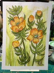 M. Hackney Signed Original Mixed Media Painting Alpine Buttercups Flower 5×7