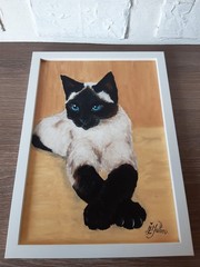 Siamese Cat Original Painting Pet Art Framed 12 by 9 Cat Blue Eyes Oil Painting