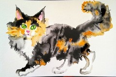 Original cat art Watercolor painting,pet lover bestgift,calico Maine Coon kitten