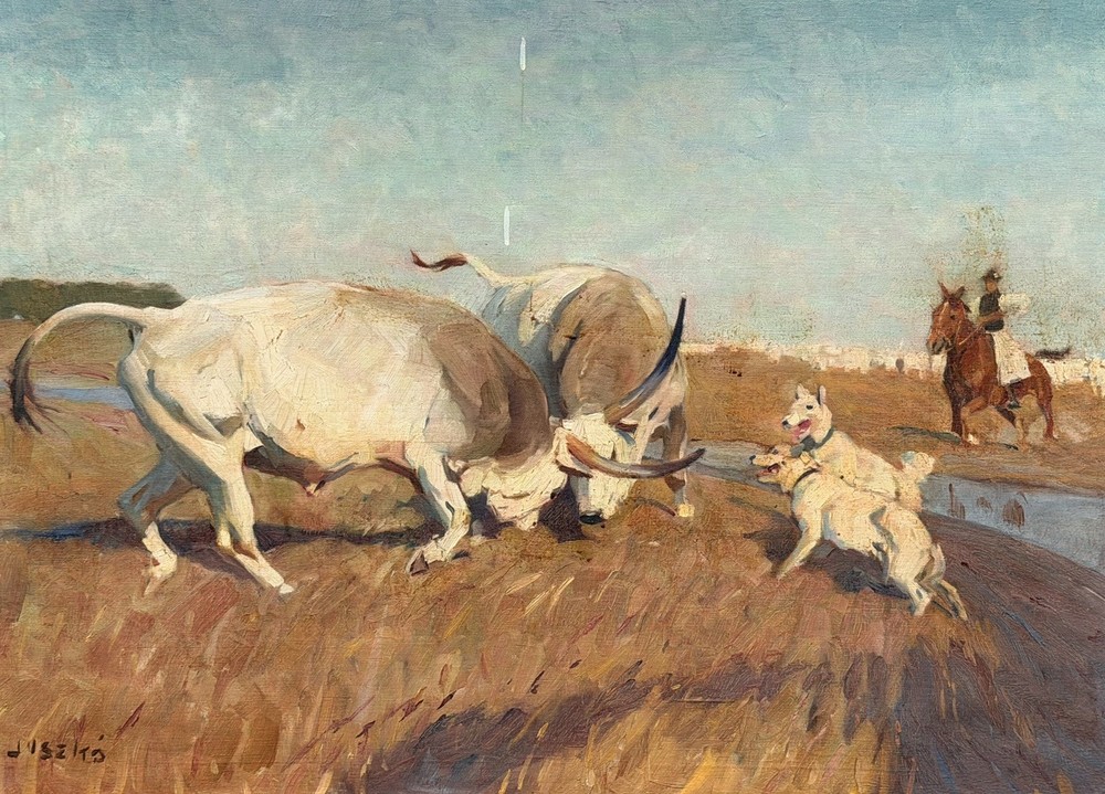 Hungarian Artist Bela Juszko Oil Painting. Hungarian Grey Cattle. Signed. C1950