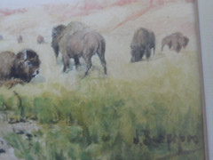 JULIUS J. RORPHURO (1861-1928, France-Calif.); ‚BUFFALOS GRAZING‘, W/C, Signed