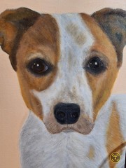 CUSTOM PET PORTRAITS