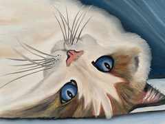 Original oil painting signed 11 x 14 in white cat blue eyes