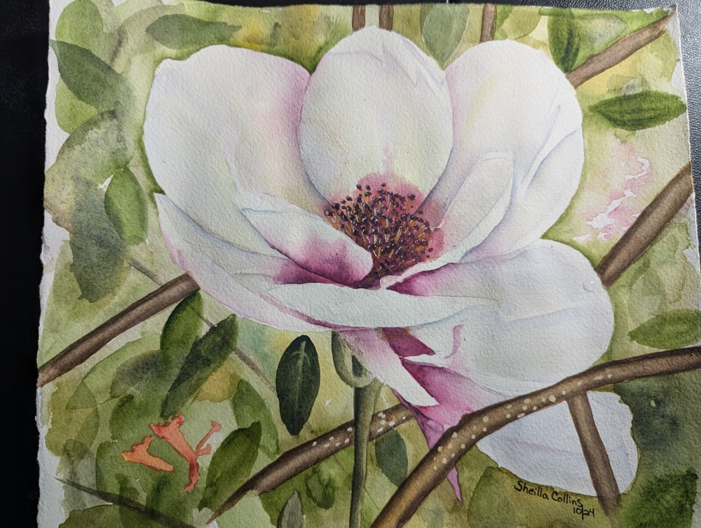 Original Magnolia Watercolor Painting