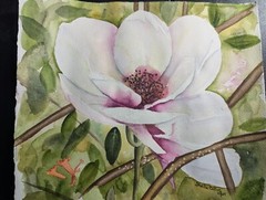 Original Magnolia Watercolor Painting
