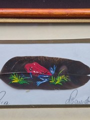 Hand-Painted Feather Art Costa Rica Red Frog Framed 6.5×4.5 Signed Jose Garro