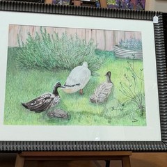 Ducks In The Garden