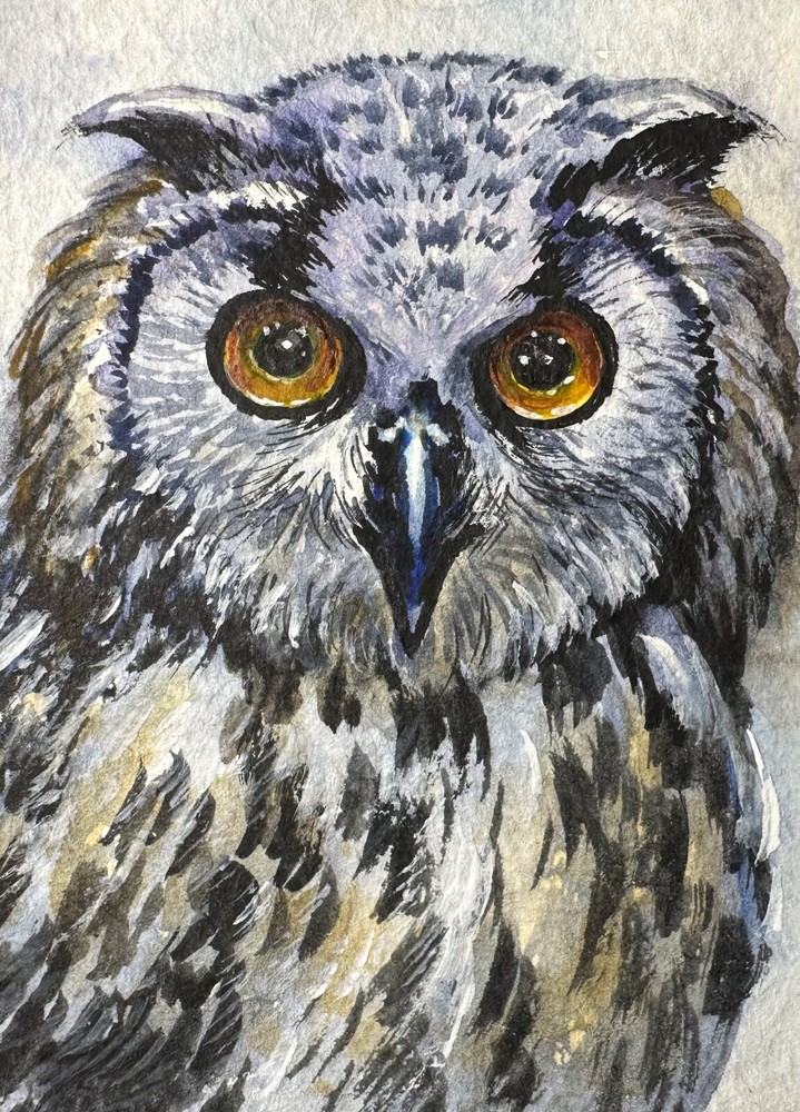 Watercolor Painting Owl Bird / Animals ACEO Art No.8