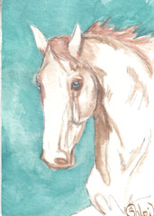 ACEO original Watercolor Art Card HORSE perlino double cream heavy Sporthorse