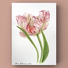 Original brand new watercolor still life ”A tulip” $65 art