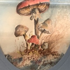 Watercolor of Mushrooms Vintage Signed Hazel Nelson 11” x 8-3/4”
