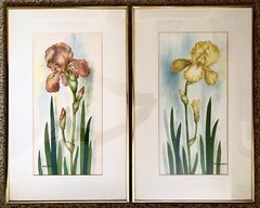 Artist NELLY DEACHMAN Original IRIS Watercolor Painting x2 ORANGE & YELLOW PAIR