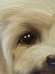 Vintage Signed Real Framed Oil On Canvass Painting Pet Dog Shitzu Puppy 31×26”