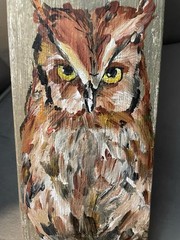 Owl Handpaint On Reclaimed Barn Wood Wall Art Rustic Signed 15.25×5.5”