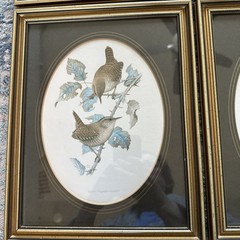 Set Of 4 John Murr Paintings 1956-1950 (Excludes1958) Manuscript Limited