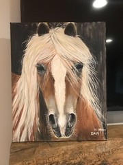 Original acrylic painting- horse on canvas 16x20x0.5 in, wall decor,