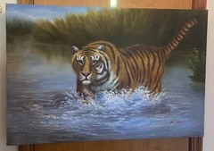 MAJESTIC BENGAL TIGER IN WATER PAINTING ART ON CANVAS BY M. AARON. 36″ X 24″