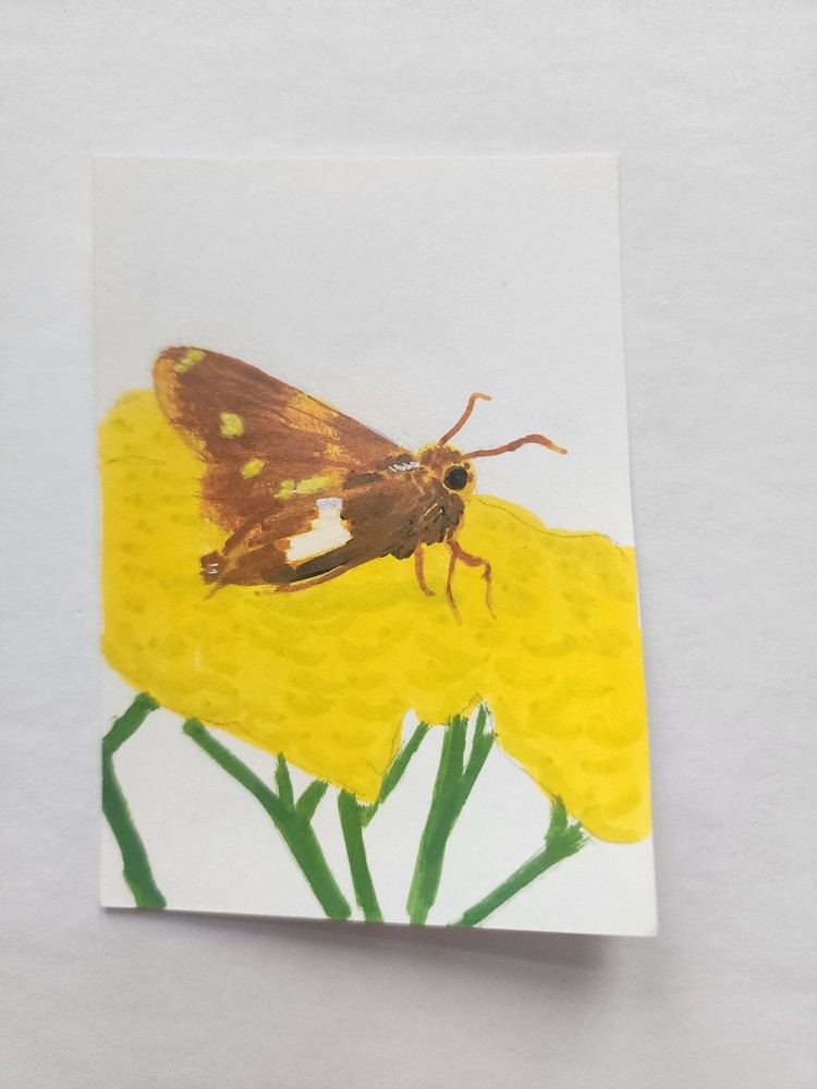 ACEO Original Acrylic Painting Silver Spotted Skipper Butterfly by Kiva