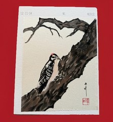Original Sumi Ink Watercolor Painting Woodpecker Artist Seal With Signature
