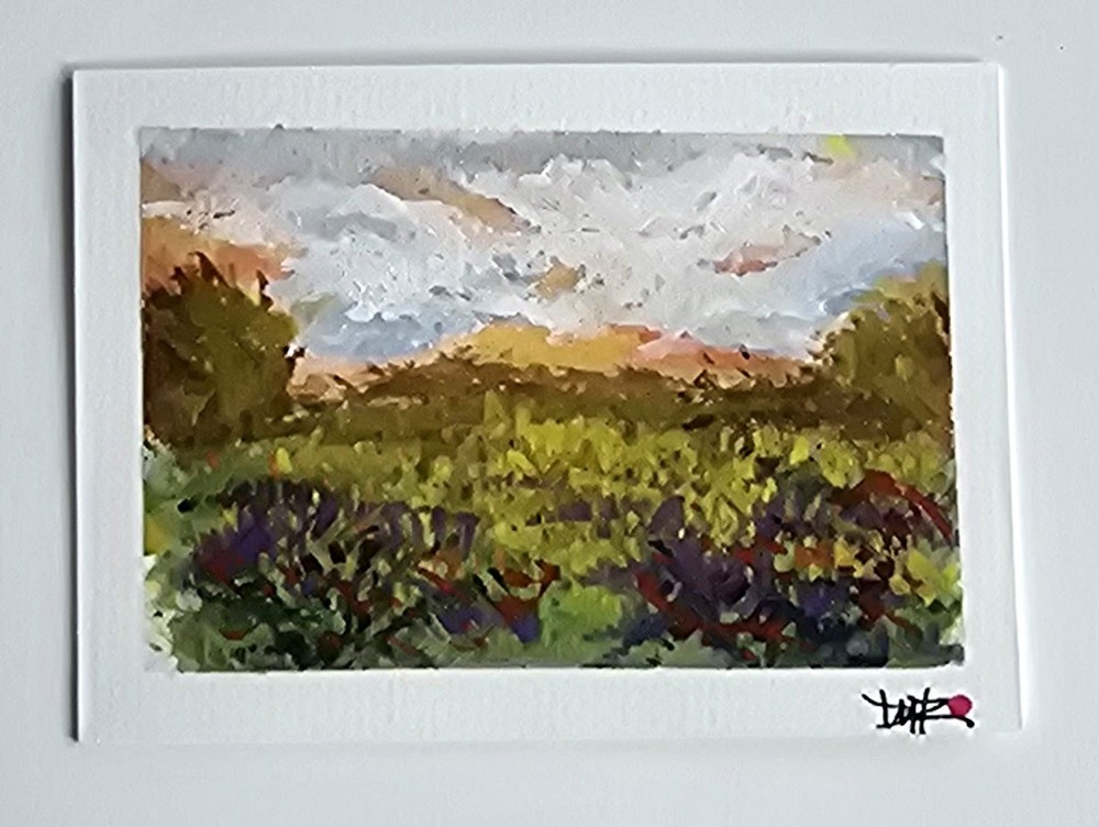 Original ACEO Landscape Big Sur – California Dulce Maria Rico „WILD FLOWERS“