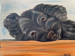 Original oil painting signed 11 x 14 inches black poodle dog