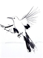 Original Contemporary Painting 9×12 Bird Black White Acrylic Ink Paper Art