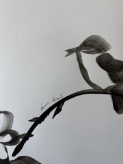 Original Acrylic Painting Monochrome Branch Bird 11×14 Paper Black White Signed