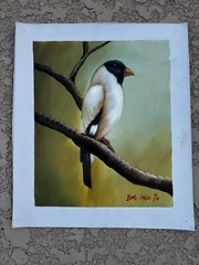 Black and White Bird Real Oil Painting On Canvas Green/Yellow Background 11”x9”