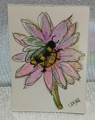 ACEO OOAK Series – Bees & Blooms in Watercolor Scribble Outline Style Pink Daisy
