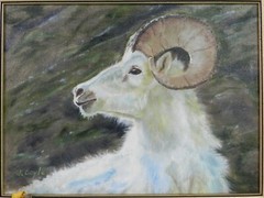 M.JANE DOYLE SIGNED ORIG ART OIL/CAN PAINTING“PRINCE ALBERT“(MOUNTAIN RAM GOAT)
